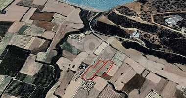 Agricultural Land for Sale in Paramali: Near the Beach