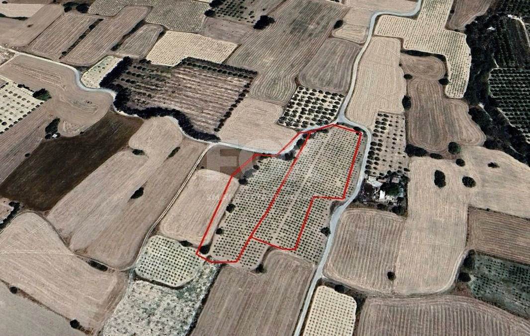 Agricultural Land for Sale in Paramali: Near the Beach