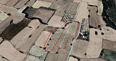 Agricultural Land for Sale in Paramali: Near the Beach