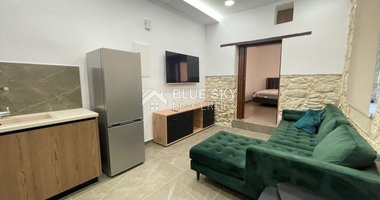 Luxury ground level 1 bedroom apartment for rent in Historical town