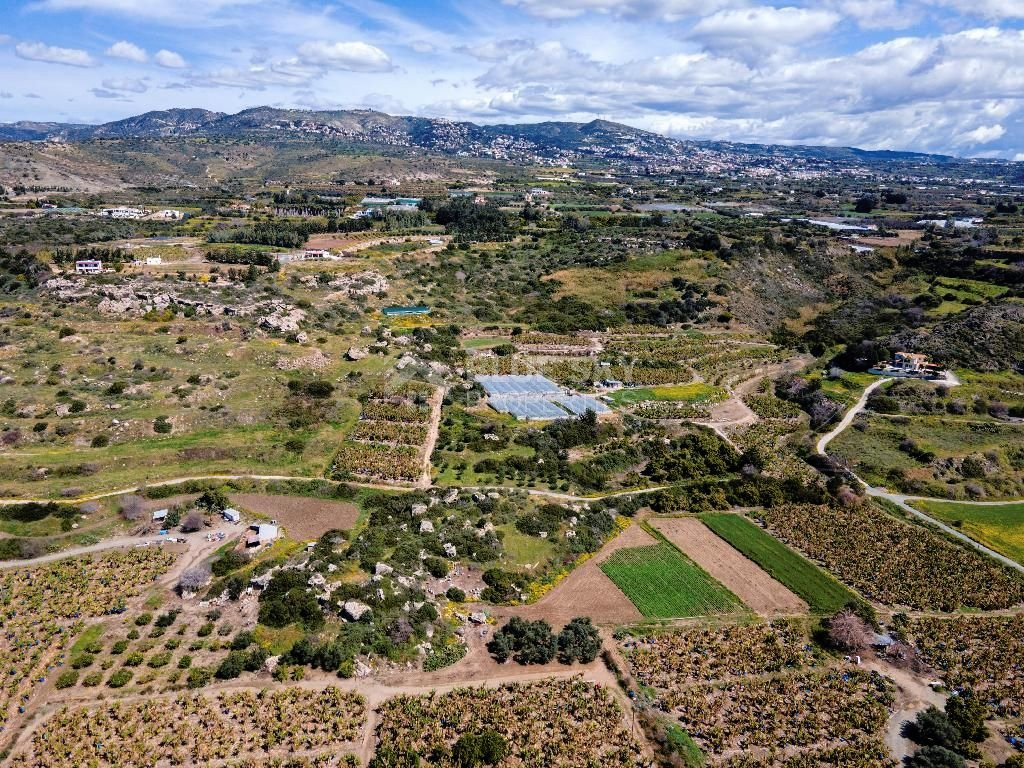 Field in Kissonerga