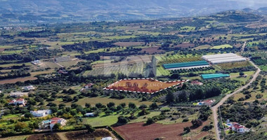 Agricultural Field in Neo Chorio