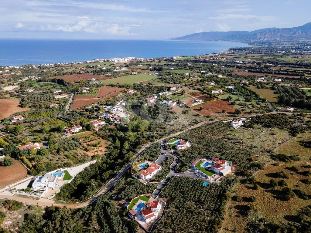 Agricultural Field in Neo Chorio