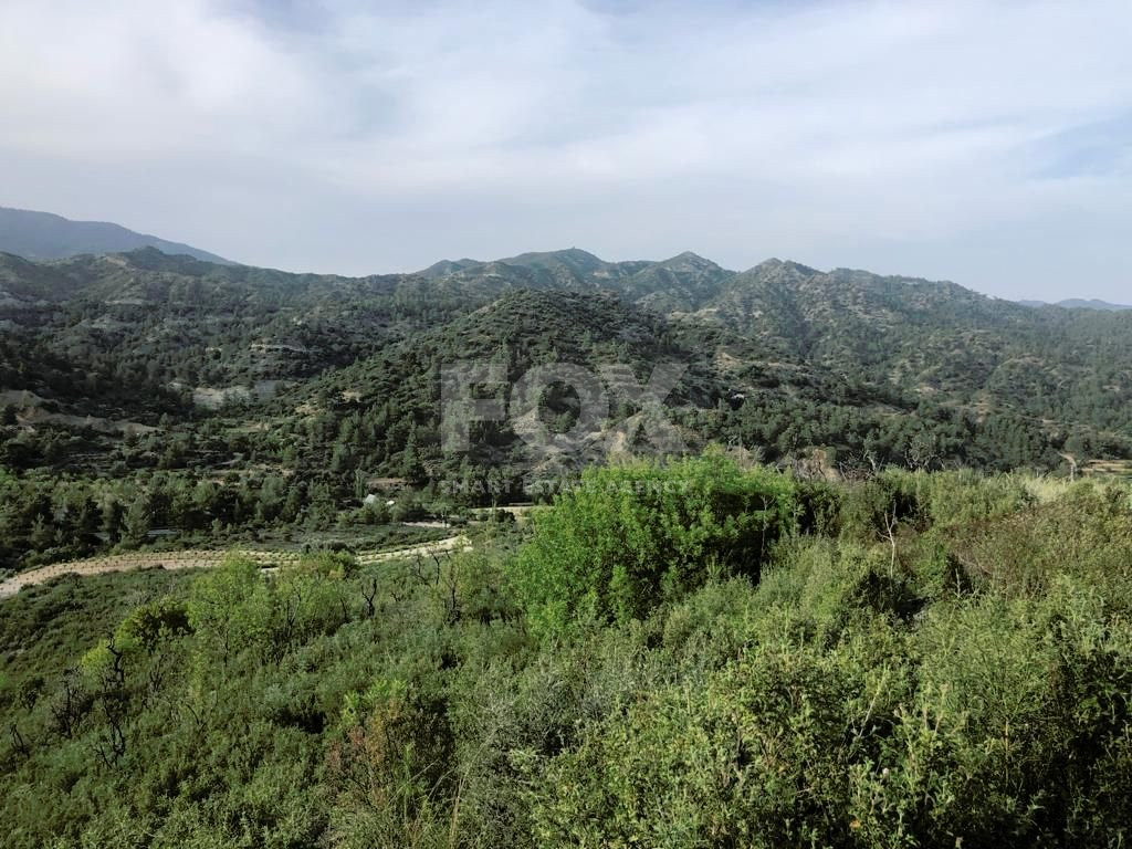 Agriculture land for sale in Troodos mountains in Limassol