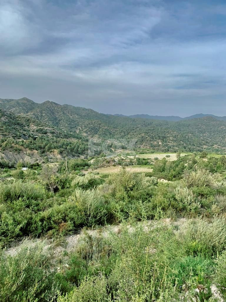 Agriculture land for sale in Troodos mountains in Limassol