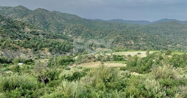 Agriculture land for sale in Troodos mountains in Limassol