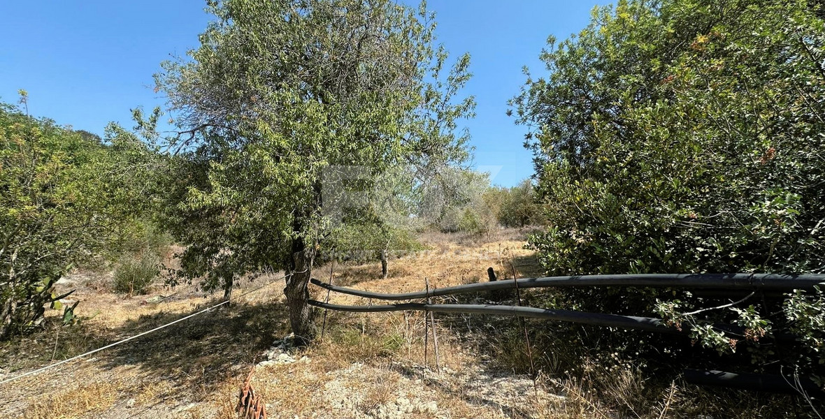 Residential Land  in Marathounda, Paphos