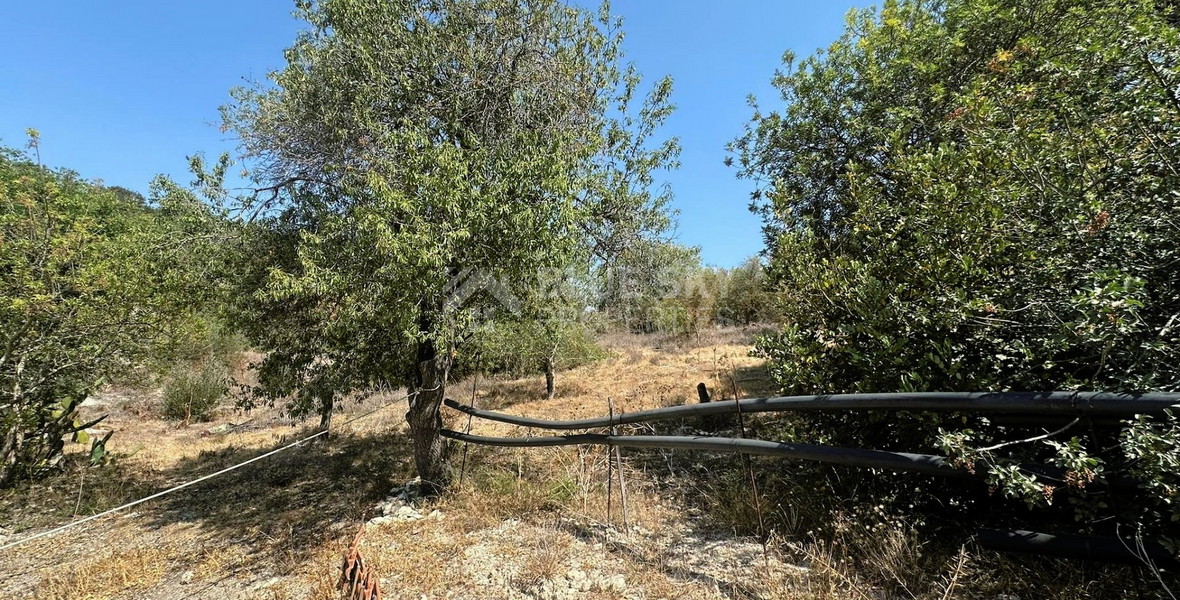 Residential Land  in Marathounda, Paphos