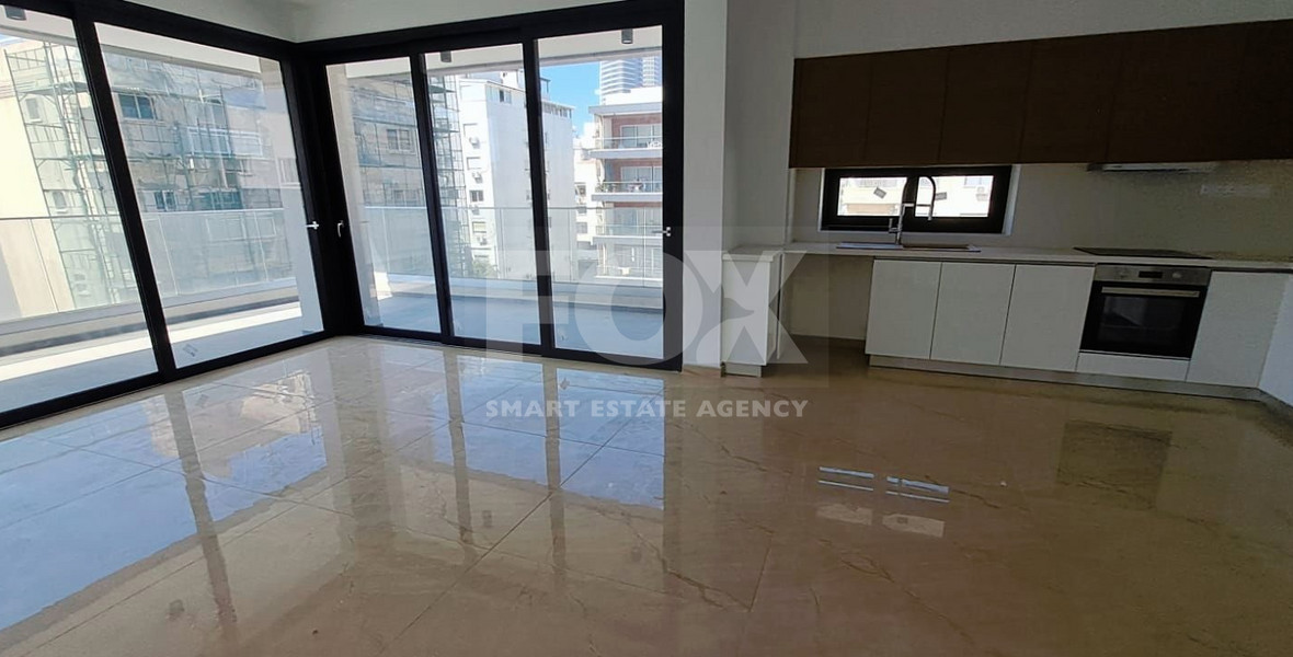 Two Bedroom Penthouse with Roof Garden in Neapolis, Limassol