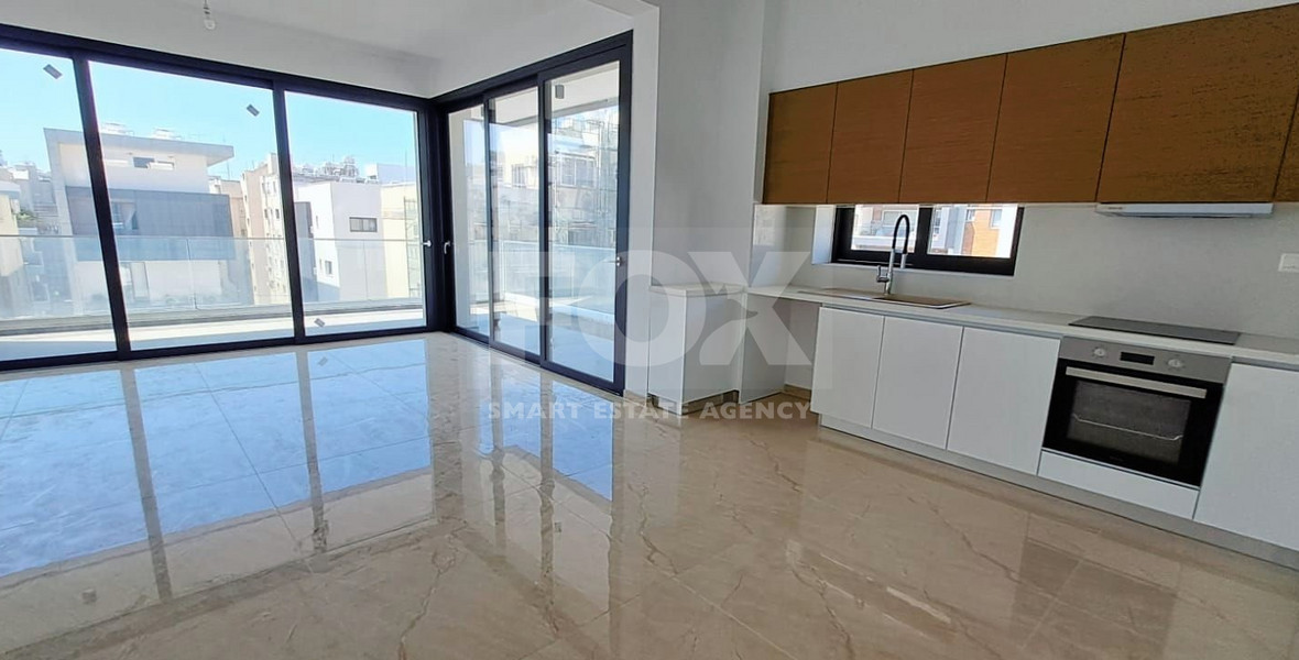 Two Bedroom Penthouse with Roof Garden in Neapolis, Limassol