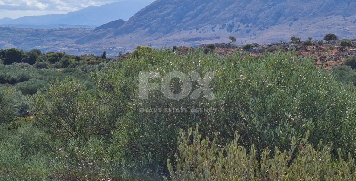Land For Sale In Akrotiri Limassol Cyprus