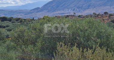 Land For Sale In Akrotiri Limassol Cyprus
