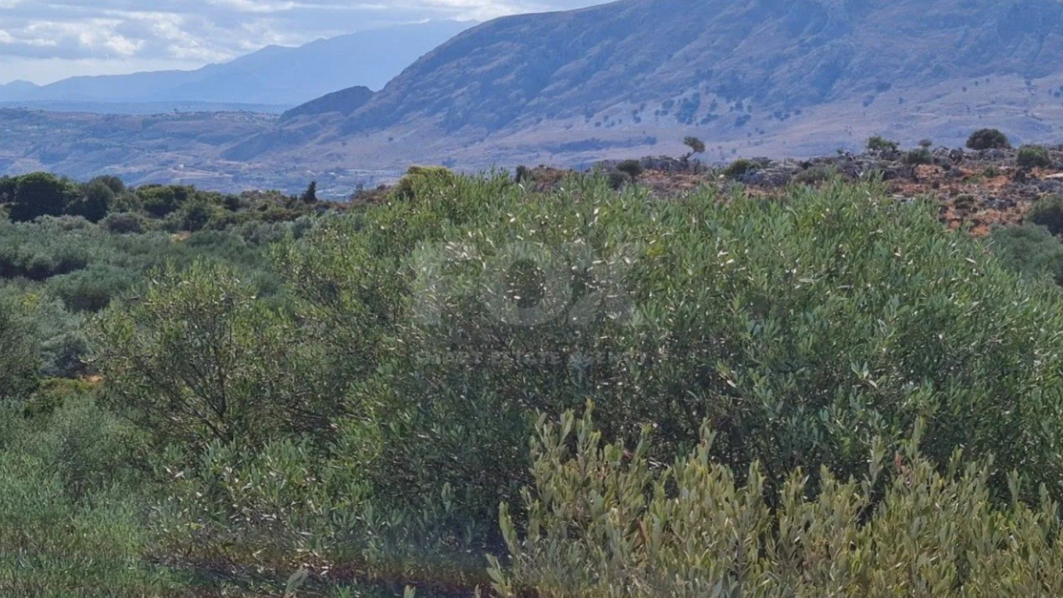 Land For Sale In Akrotiri Limassol Cyprus
