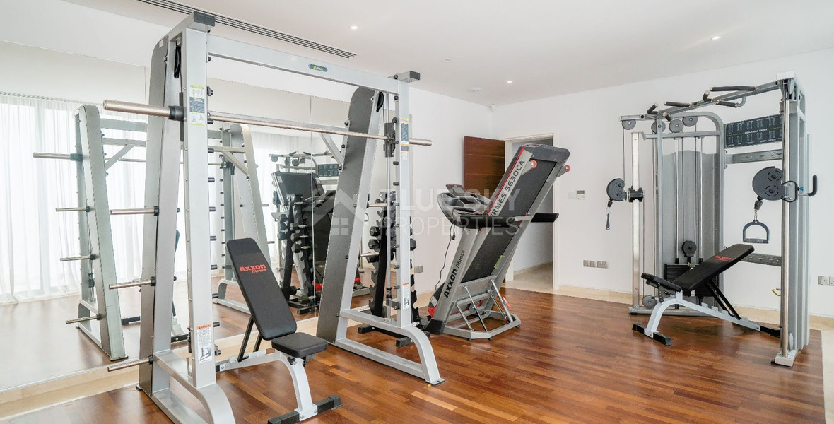 Luxury fully furnished and equipped villa in Peyia