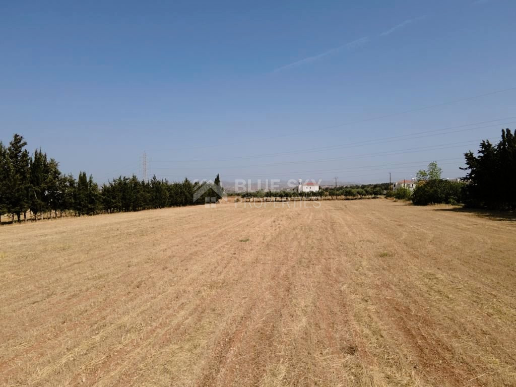 Residential field in Kouklia , Paphos District (share)