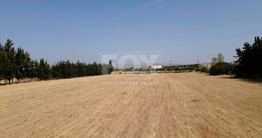 Residential field in Kouklia , Paphos District (share)