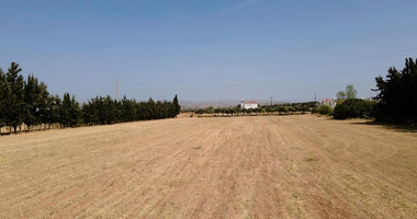 Residential field in Kouklia , Paphos District (share)