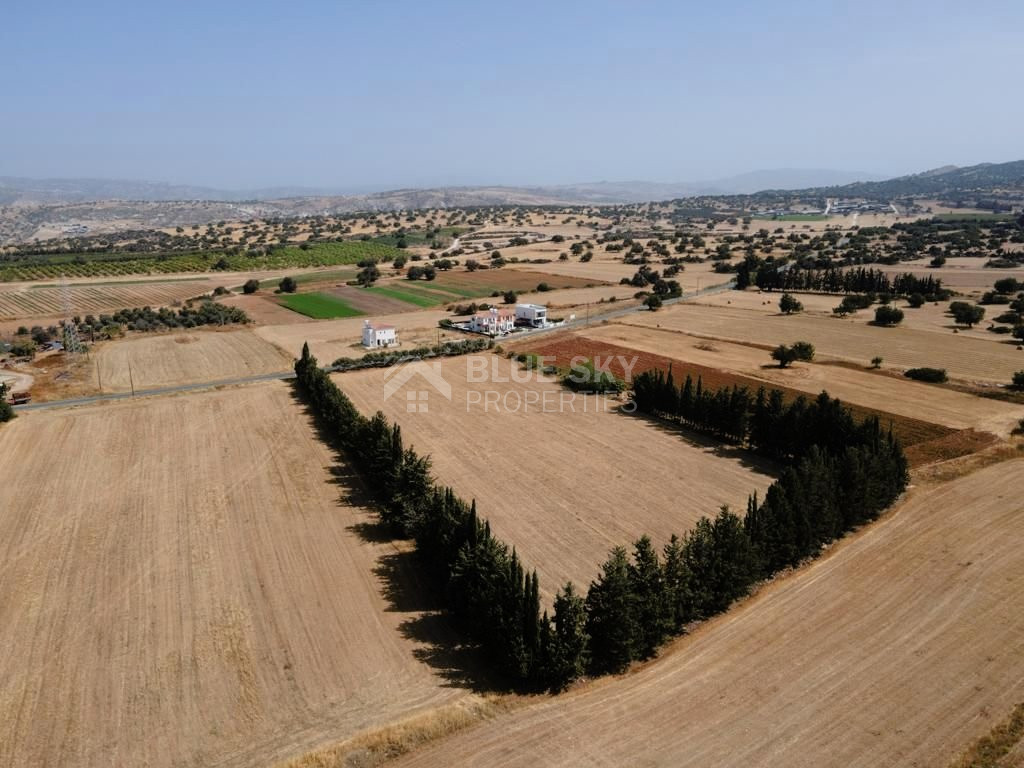 Residential field in Kouklia , Paphos District (share)