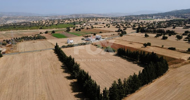 Residential field in Kouklia , Paphos District (share)