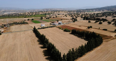 Residential field in Kouklia , Paphos District (share)