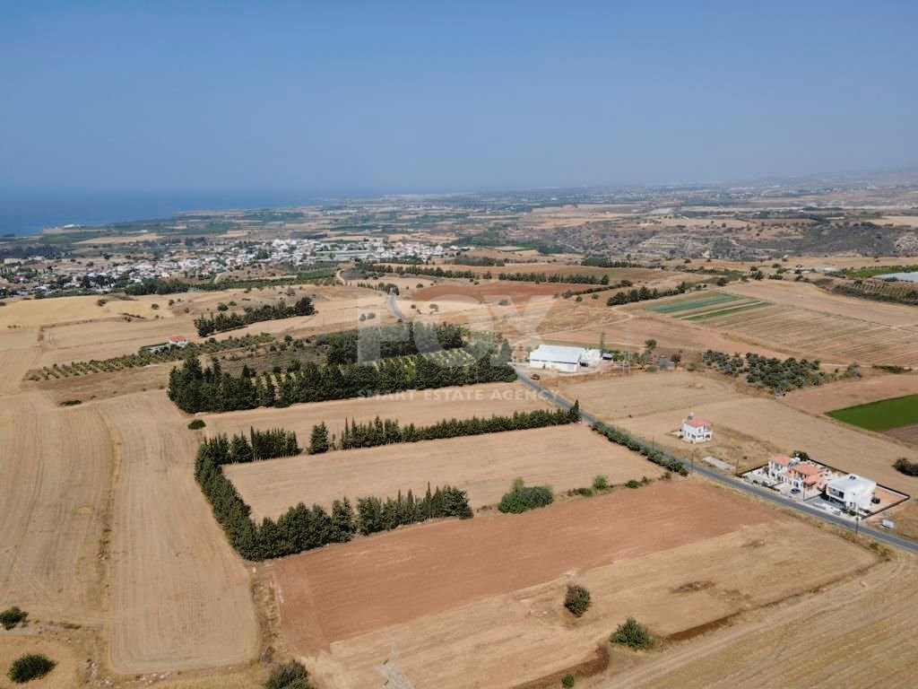 Residential field in Kouklia , Paphos District (share)