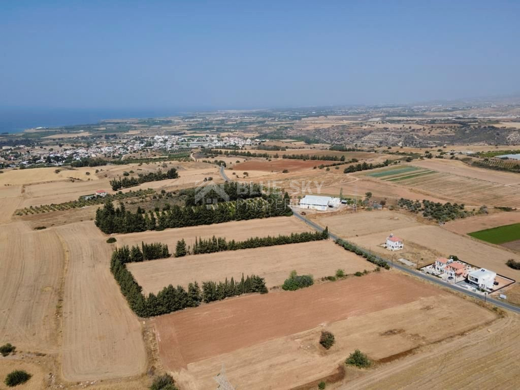 Residential field in Kouklia , Paphos District (share)