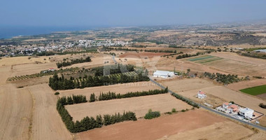 Residential field in Kouklia , Paphos District (share)