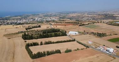 Residential field in Kouklia , Paphos District (share)