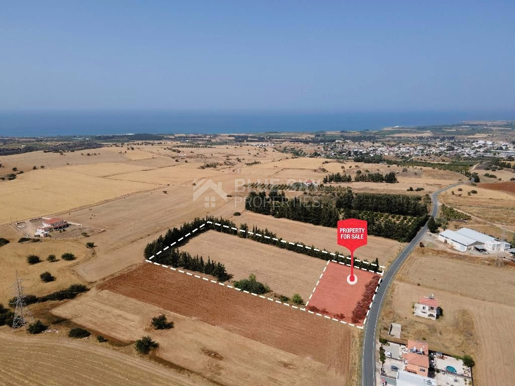 Residential field in Kouklia , Paphos District (share)