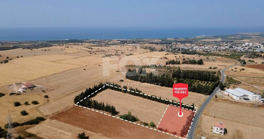 Residential field in Kouklia , Paphos District (share)