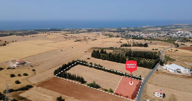 Residential field in Kouklia , Paphos District (share)