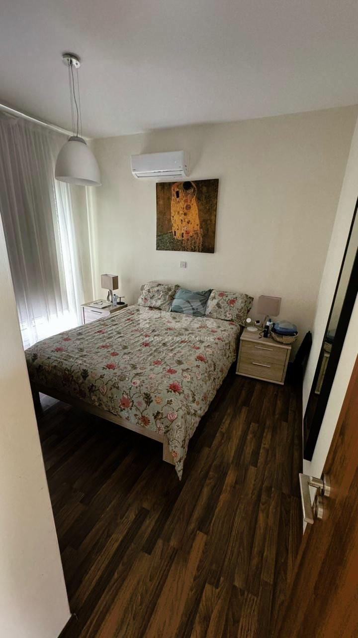 Three Bed House To Rent In Pissouri Limassol Cyprus