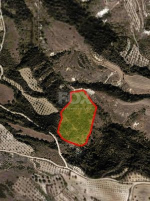 Agricultural land located in Simou, Paphos