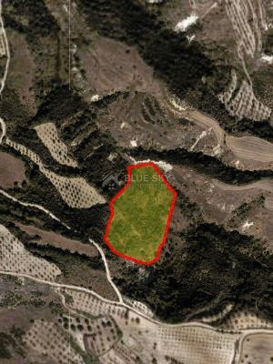 Agricultural land located in Simou, Paphos