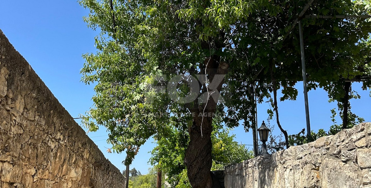 Two Traditional Stone houses with Pool in Salamiou