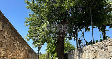 Two Traditional Stone houses with Pool in Salamiou