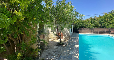 Two Traditional Stone houses with Pool in Salamiou