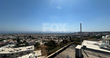 Investment Opportunity in Prestigious Pegeia Municipality