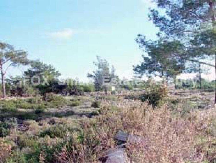 Land For Sale In Souni Zanakia Limassol Cyprus