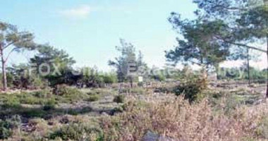 Land For Sale In Souni Zanakia Limassol Cyprus