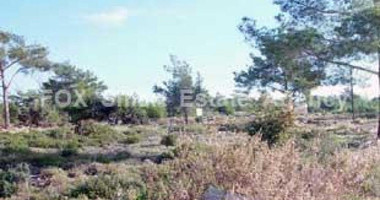 Land For Sale In Souni Zanakia Limassol Cyprus
