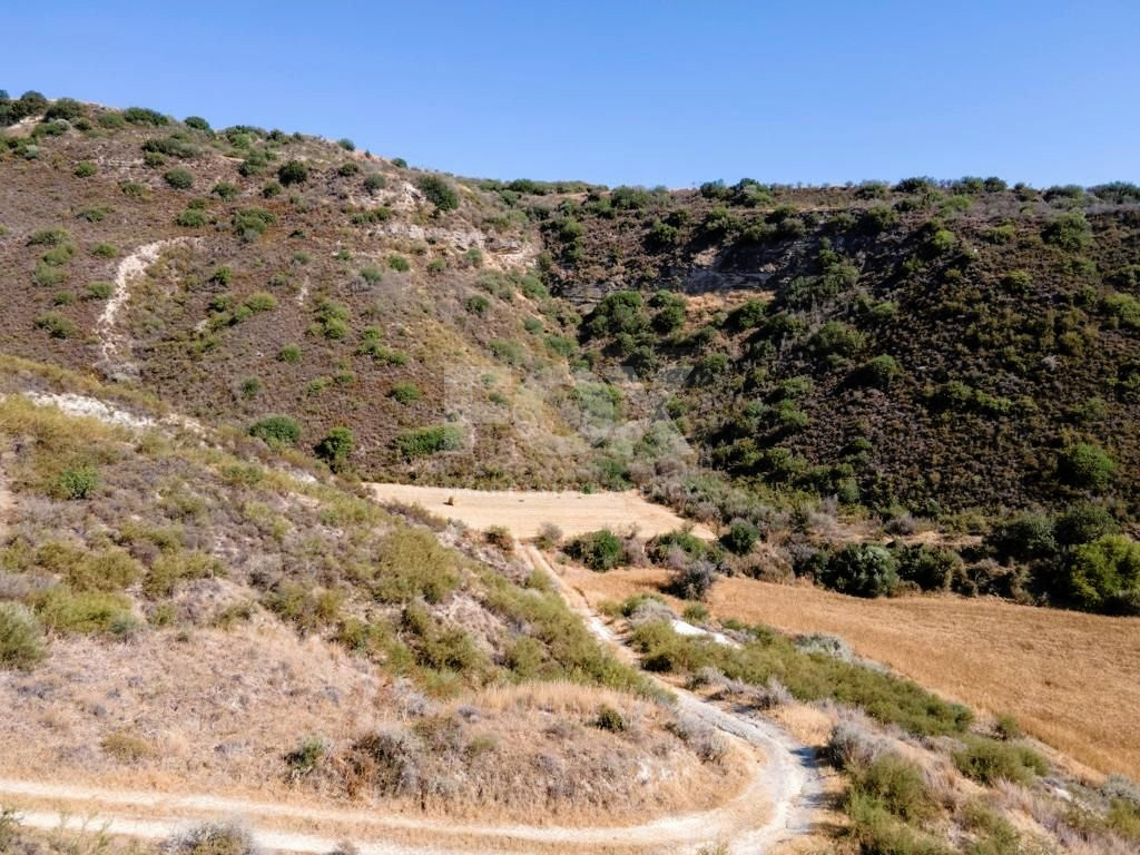 Agricultural field in Steni, Paphos