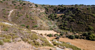 Agricultural field in Steni, Paphos