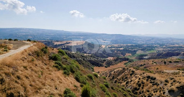 Agricultural field in Steni, Paphos