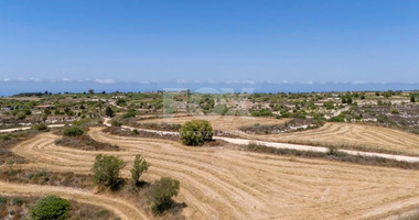 Agricultural Field in Pano Arodes, Paphos