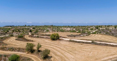 Agricultural Field in Pano Arodes, Paphos