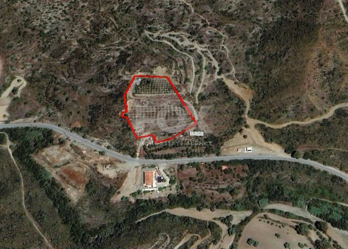 Agricultural Land for sale in Asgata: with trees, water well & automated irrigation system