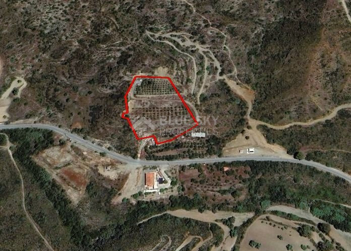 Agricultural Land for sale in Asgata: with trees, water well & automated irrigation system