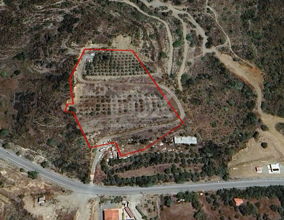 Agricultural Land for sale in Asgata: with trees, water well & automated irrigation system