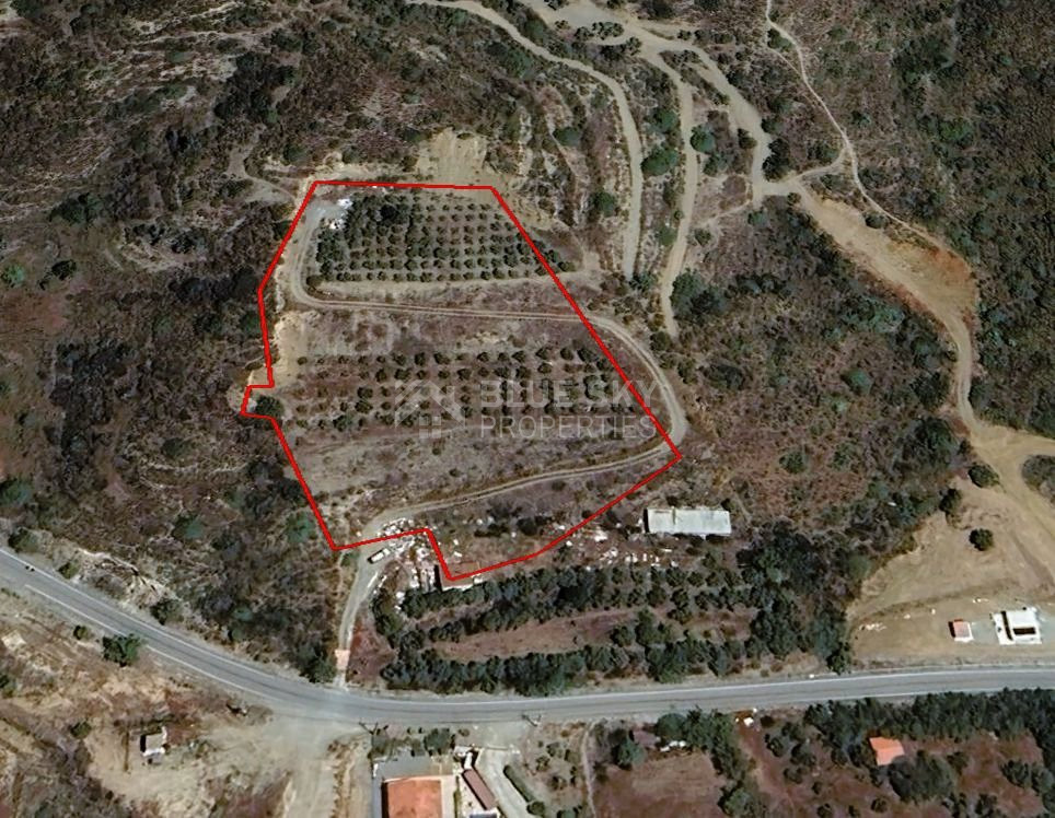 Agricultural Land for sale in Asgata: with trees, water well & automated irrigation system